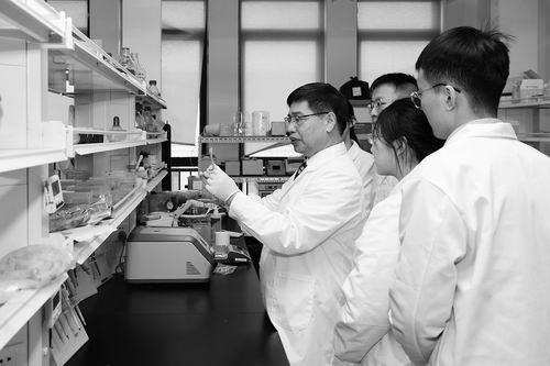 蓝色粮仓，健康护航 发展水产加工与健康咨询服务的融合之路